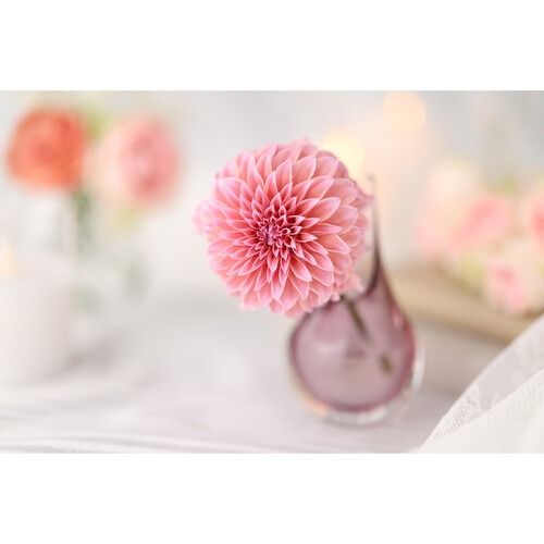 Canon RF 85mm f/1.4 L VCM Lens (Canon RF)