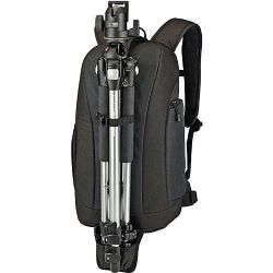 Lowepro Flipside 300 Backpack