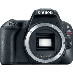 Canon EOS Rebel SL2 DSLR Camera (Body)